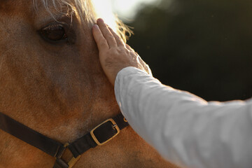 Man with adorable horse outdoors, closeup. Lovely domesticated pet - obrazy, fototapety, plakaty