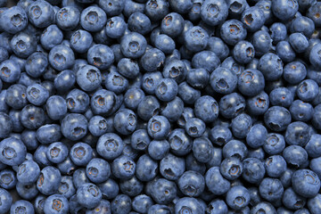 Fototapeta na wymiar Tasty fresh blueberries as background, top view