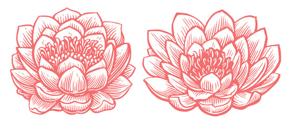 Blooming lotus. Design element for wedding invitation, cover, print, decoration, template. Sketch vector illustration
