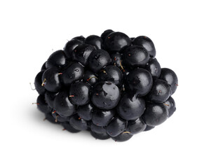One tasty ripe blackberry isolated on white