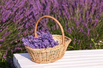 Fototapeta na wymiar Wicker basket with aromatic lavender on white wooden bench outdoors