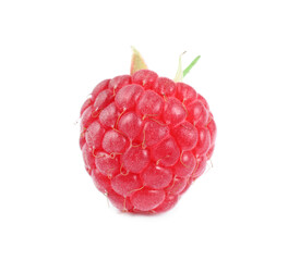 One tasty ripe raspberry isolated on white