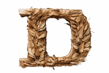 3D Letter on white background