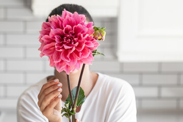 A woman covers face with a pink Dahlia flower on a white interior background.