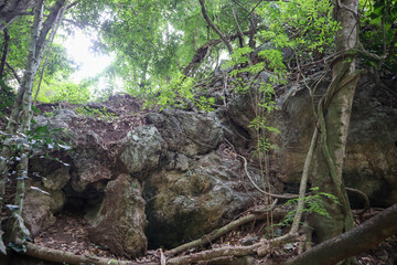 Rock in the forest, Thailand. Natural background and wallpaper design.