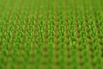 Fototapeta premium A closeup of artificial grass foot mat with dirt in between with selective focus 