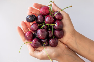 Ripe cherries in female hands on a blurred white background.