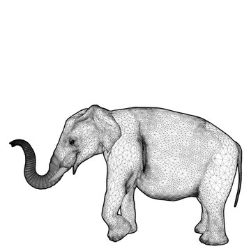 Elephant Vecto. Isolated On White Background. A Vector Illustration Of An Elephant.