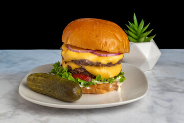double cheeseburger on a brioche bun