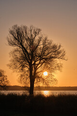 Morning mood at the lake