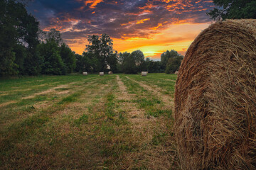 bales of hay - Strohballen - Heuballen - Heu - Stroh - field - harvest - summer - straw - farmland...