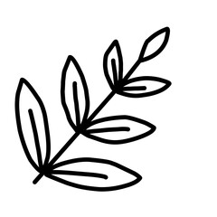 Floral Decoration Branch Leaf Plant Line Stroke Icon Pictogram Symbol