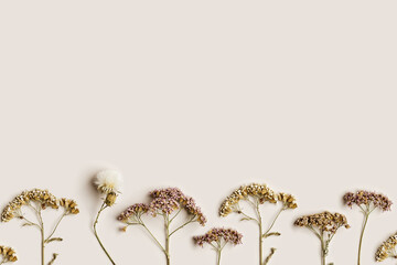 Minimal autumn composition with dried wild flowers on beige background, nature autumnal decor,...
