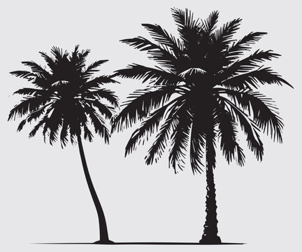 Vector Palm Tree Silhouette Icons In White Background