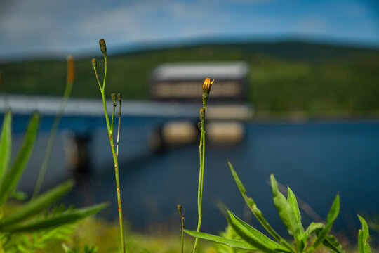 Jizera Bilder Durchsuchen 4,089 Archivfotos, und