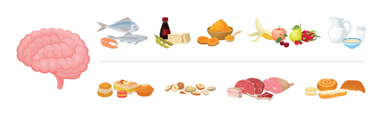 Good and Bad Food Category and Nutrition Group for Brain Function Vector Set
