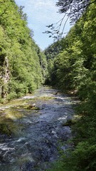 Fototapeta na wymiar photo Vintgar Gorge, Soteska Vintgar slovenia europe 