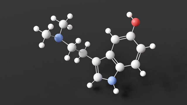 bufotenin molecule, molecular structure, tryptamine derivative, ball and stick 3d model, structural chemical formula with colored atoms