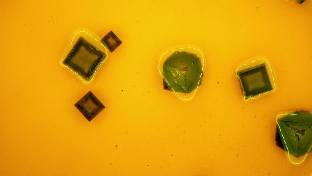 Timelapse of crystal growth from a chemical salt solution,