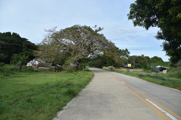 carretera 