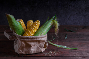 Raw yellow corn on a dark wooden background.