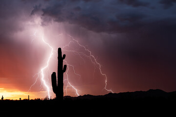 Lightning and Saguaro Cactus silhouette at sunset in the Arizona desert