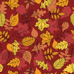 Autumn pattern, set of leaves, maple leaf, rowan leaf, oak leaf. Doodle, drawings, sketch. Autumn season. Contour vector illustration, seamless  texture. Background white isolated background.