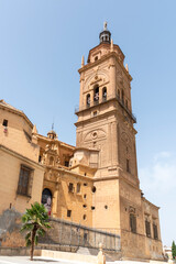 Fototapeta na wymiar Vista de la catedral de Guadix en la provincia de Granada, España