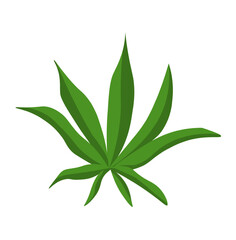 Cannabis leaf green, vector graphic
