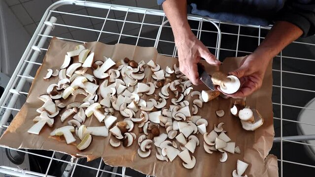 A woman slices freshly picked Karl Johan mushrooms to dry on a clothing rack at home. 