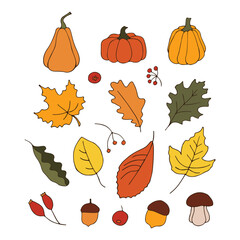 Set of autumn pumpkins, leaves and twigs. Autumn. Season. Flat image. Vector illustration