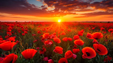Schilderijen op glas beautiful poppies field with sunset sky © Fantastic