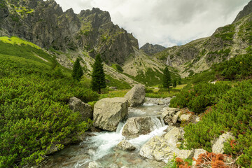 Mountain landscape in the Tatras on a sunny day