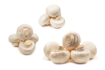 Champignon mushroom isolated on white background.