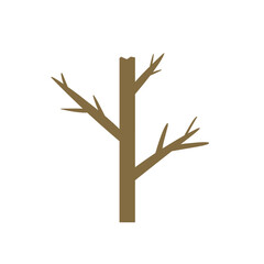 dry tree without leaves