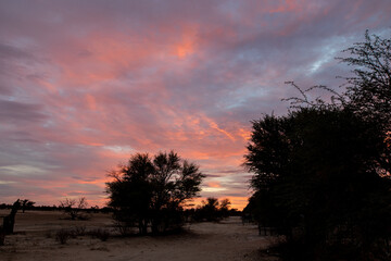 Kalahari Sunset, Kgalagadi Transfrontier Park
