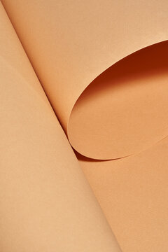 Naturally rolled craft paper background with a beautiful studio light