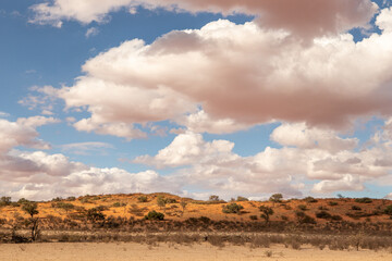 Cloudy Kalahari landscapes of the Kgalagadi Transfrontier Park