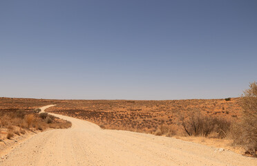Dirt road in the Kgalagadi Transfrontier Park, Kalahari, South Africa