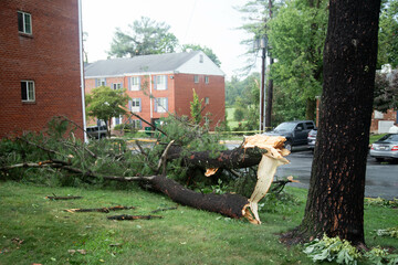 aftermath a severe thunderstorm happened in Maryland on July 29 2023 