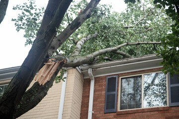 aftermath a severe thunderstorm happened in Maryland on July 29 2023 