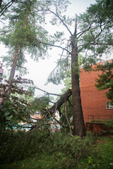 Fototapeta na wymiar aftermath a severe thunderstorm happened in Maryland on July 29 2023 
