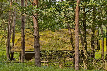 Holzhütte im Pfälzerwald, natur belassen, öko nachhaltig, herbst, bäume, wiese 
