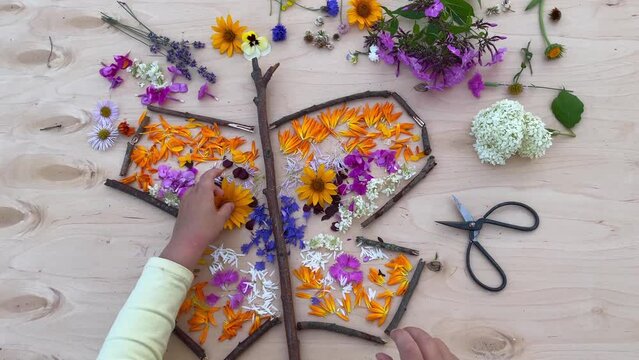 butterfly made from flowers, easy nature craft for kids. From the petals we lay out a pattern on the wings