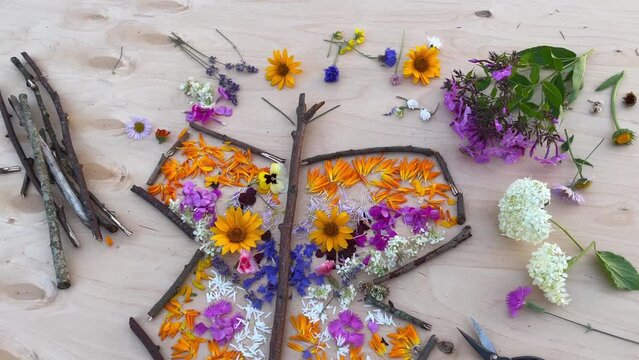 butterfly made from flowers, easy nature craft for kids. Making fairy landscape, inspiration, imagination, sensory perception. easy nature craft for kids