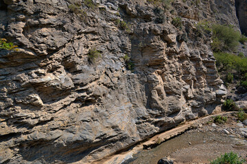 Paradise Canyon's Tranquil Stream: Serenity by the Mountain's Side