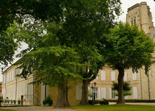 Le jardin des marronniers et l&rsquo;ancien &eacute;v&ecirc;ch&eacute; de la ville de Lectoure