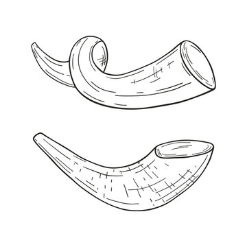 Set of two Jewish shofar