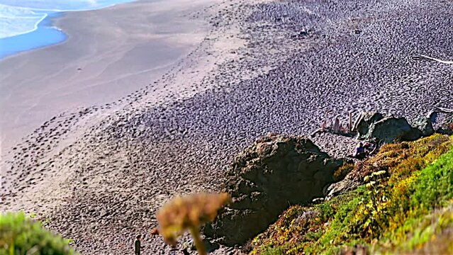 Sand and Surf Along California's Sonoma County Coast