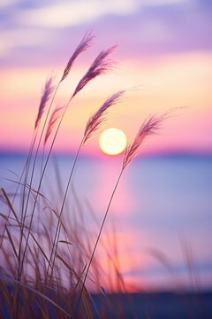Little grass stem close-up with sunset over calm sea, sun going down over horizon. Pink and purple pastel watercolor soft tones. Beautiful nature background.